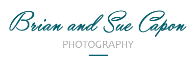 Capon Photography - Professional South London Photographer